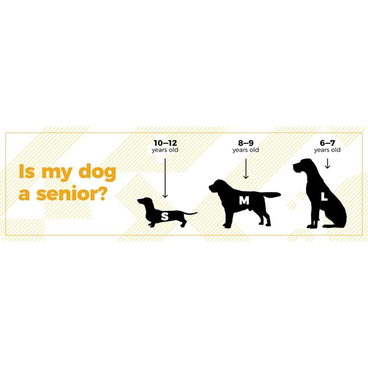 5.29 oz Supplement for Dogs H854
