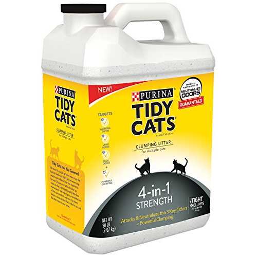 Scented Clumping Clay Cat Litter 20-lb Case of 2 L864527