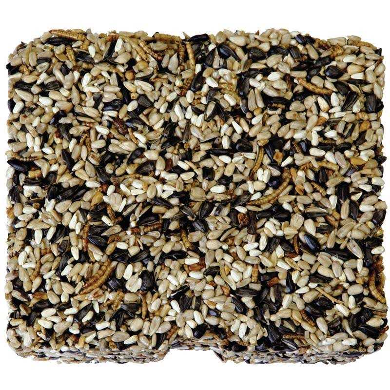 Seed & Mealworm Cake E88232