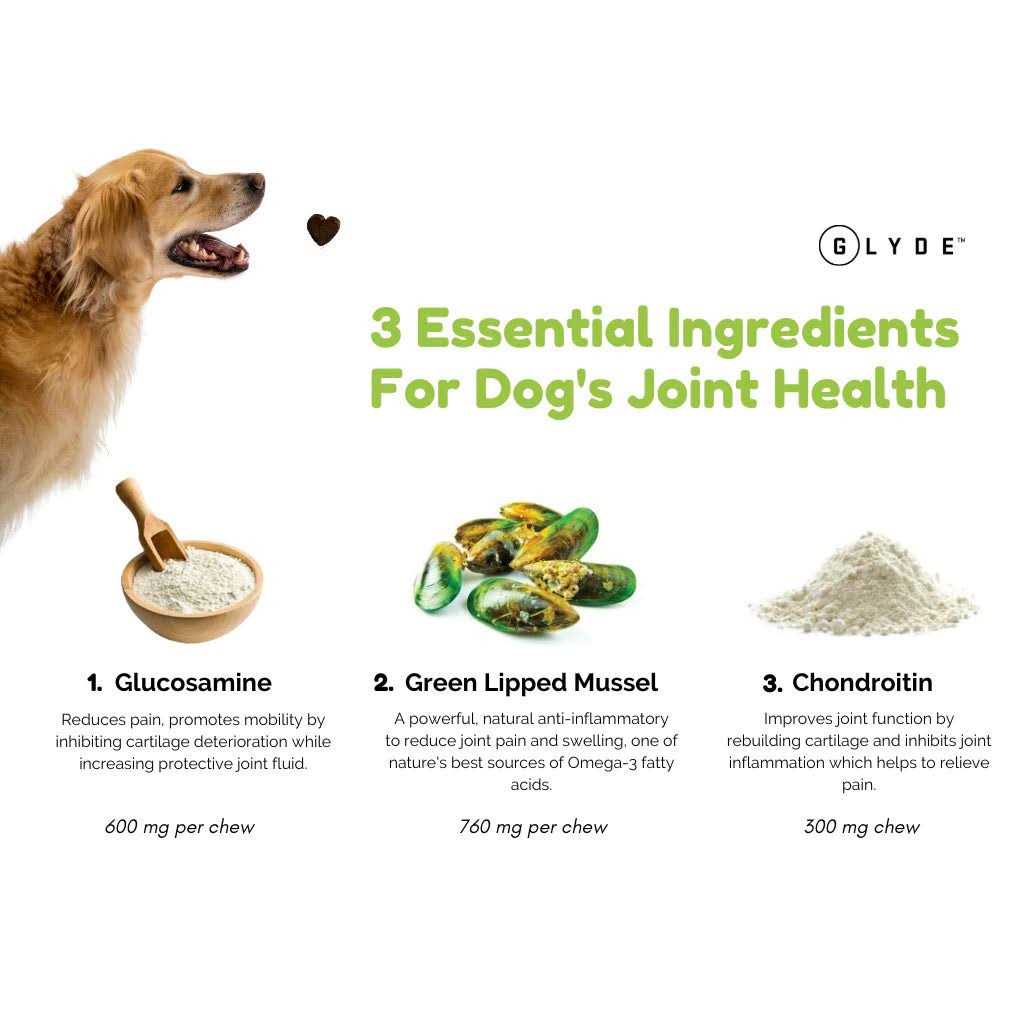 Mobility Chews for Dogs Y2140