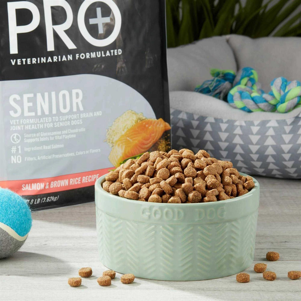 Senior Salmon & Brown Rice Dry Dog Food W260704