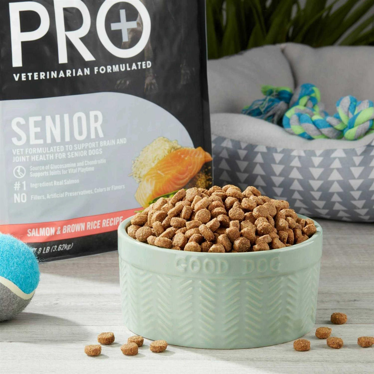 Senior Salmon & Brown Rice Dry Dog Food W260704