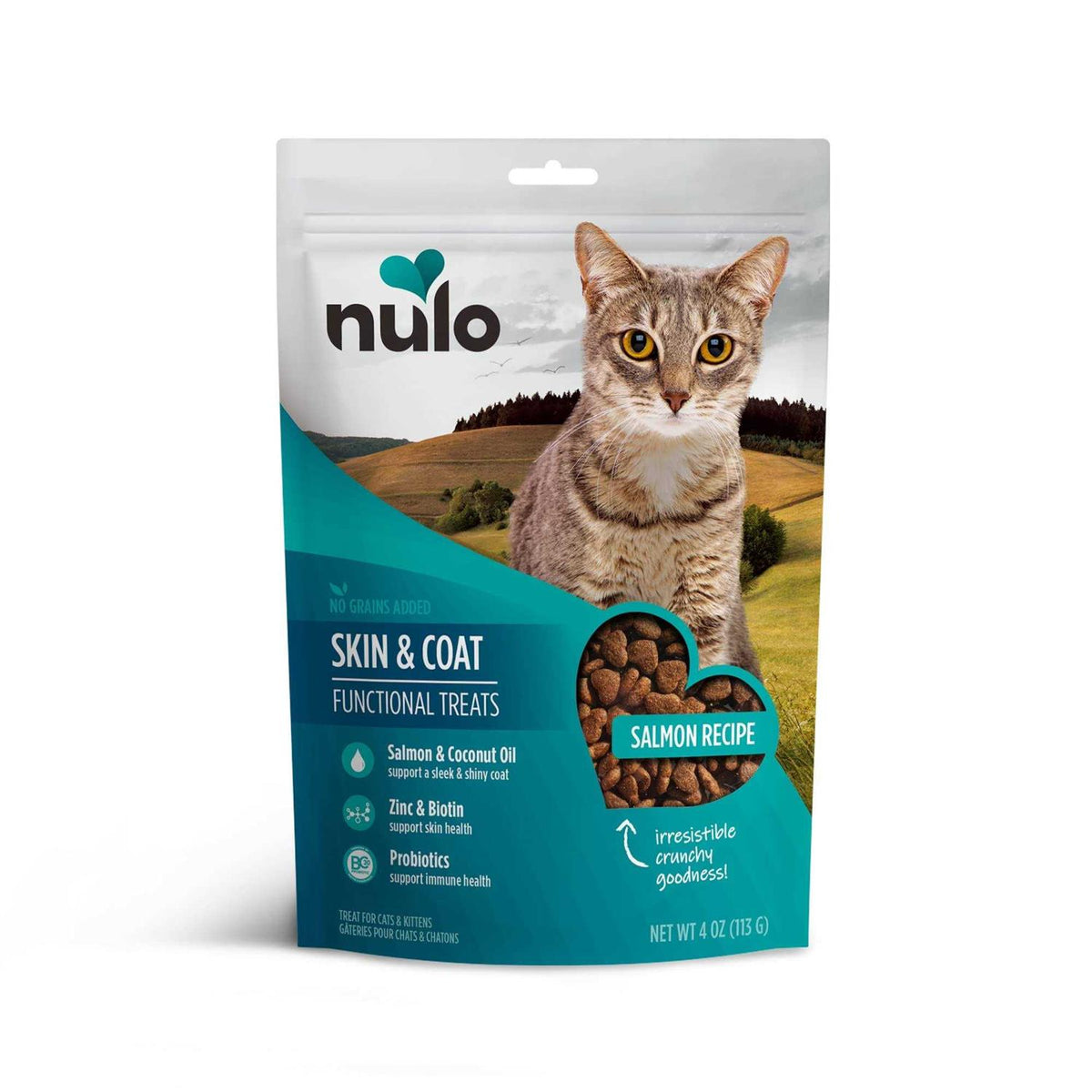 Salmon Cat Treats 4oz J401720