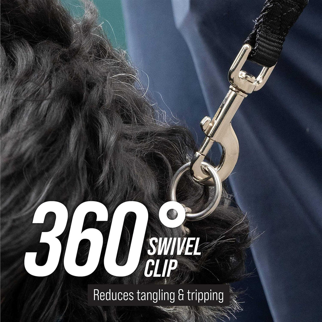 Dog Leash O45979