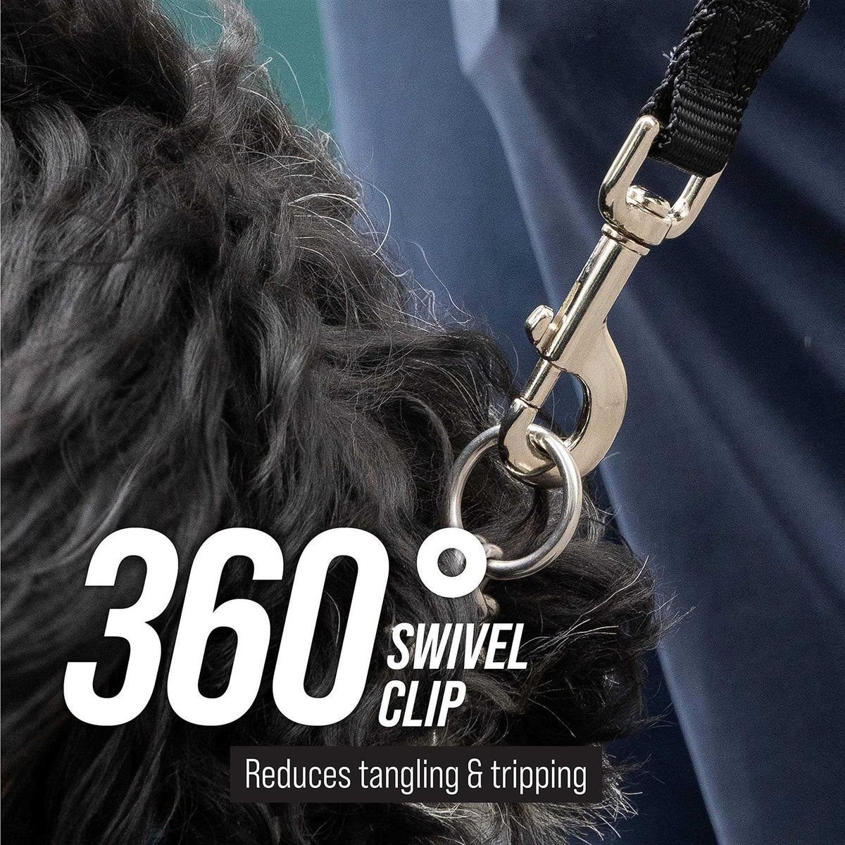 Dog Leash O45979