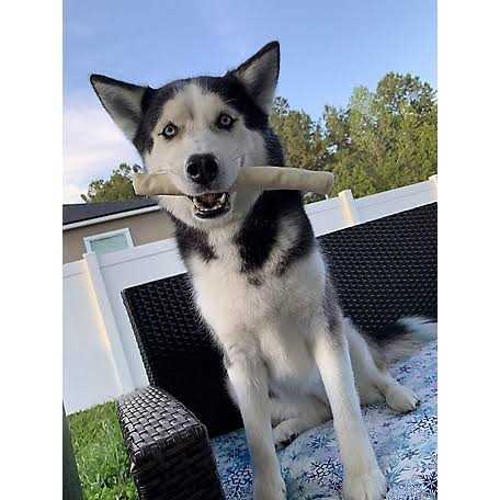 All Natural Rawhide Rolls Dog Chew Treats T9922