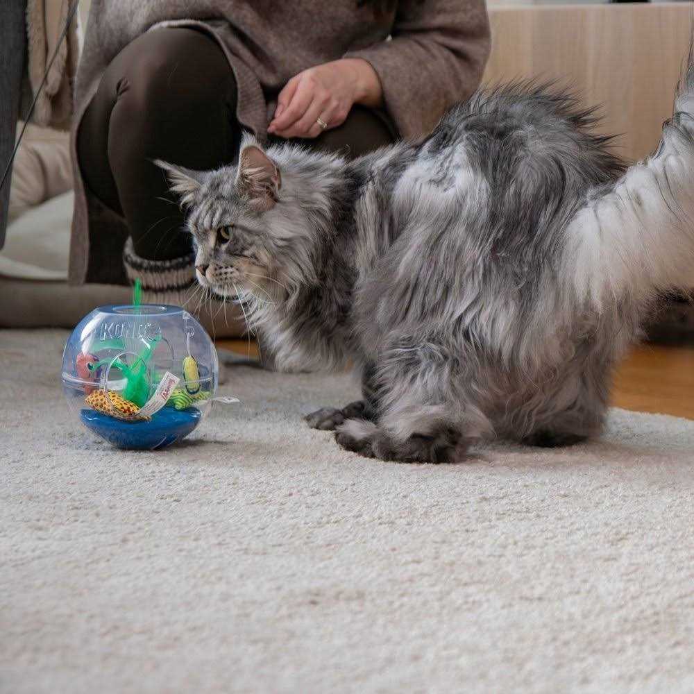Glow Aquarium Cat Toy P144