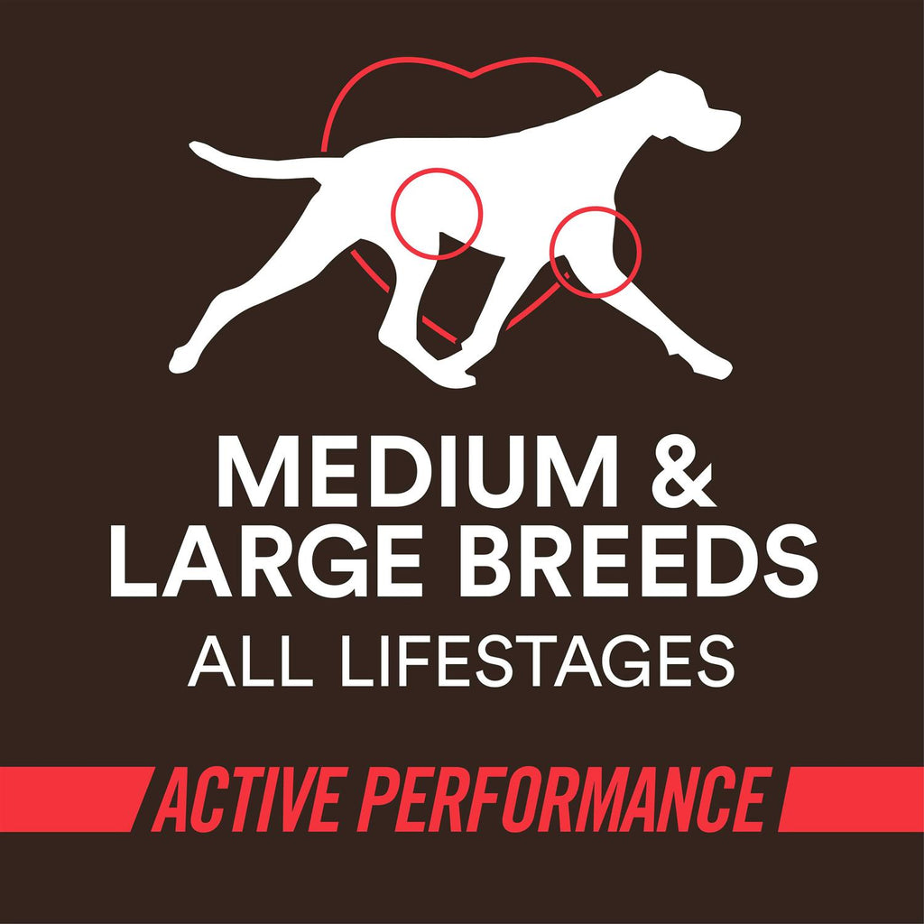High-Protein Beef & Rice Recipe Dry Dog Food R431