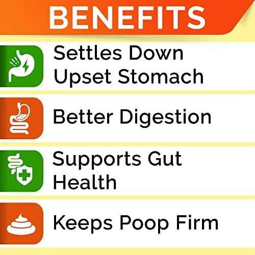 Pumpkin High Fiber Digestive Supplement for Dogs H97857