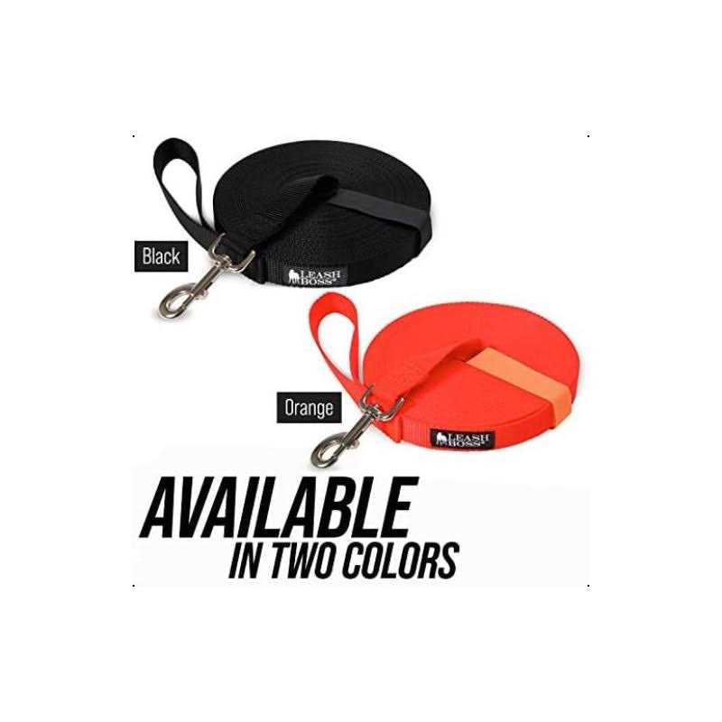 Dog Leash O45979