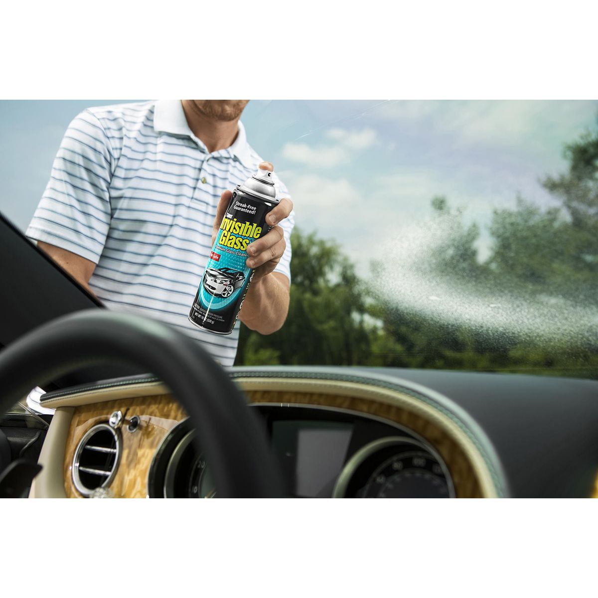 19 oz. Glass Cleaner N585