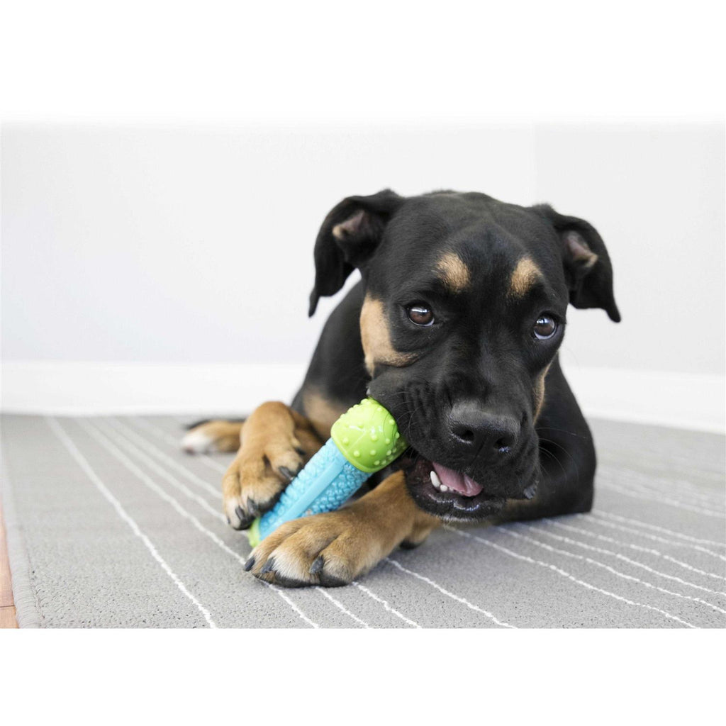 Bone Dog Toy H4193