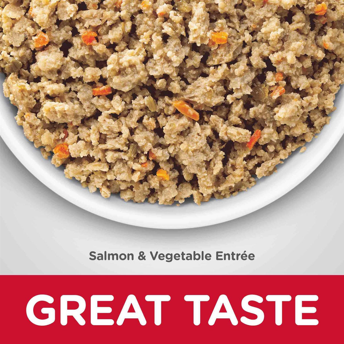 Adult Sensitive Stomach & Skin Dog Food G59815