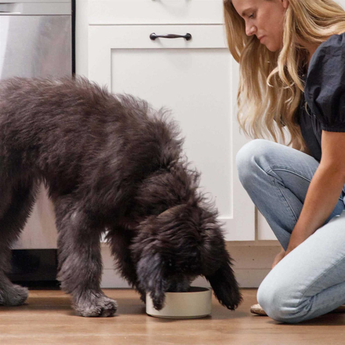 Brown Rice & Sweet Potato Dry Dog Food G237539