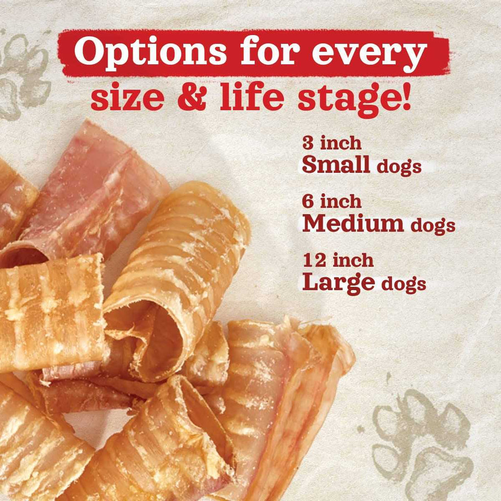 Beef Trachea Dog Chews D491966