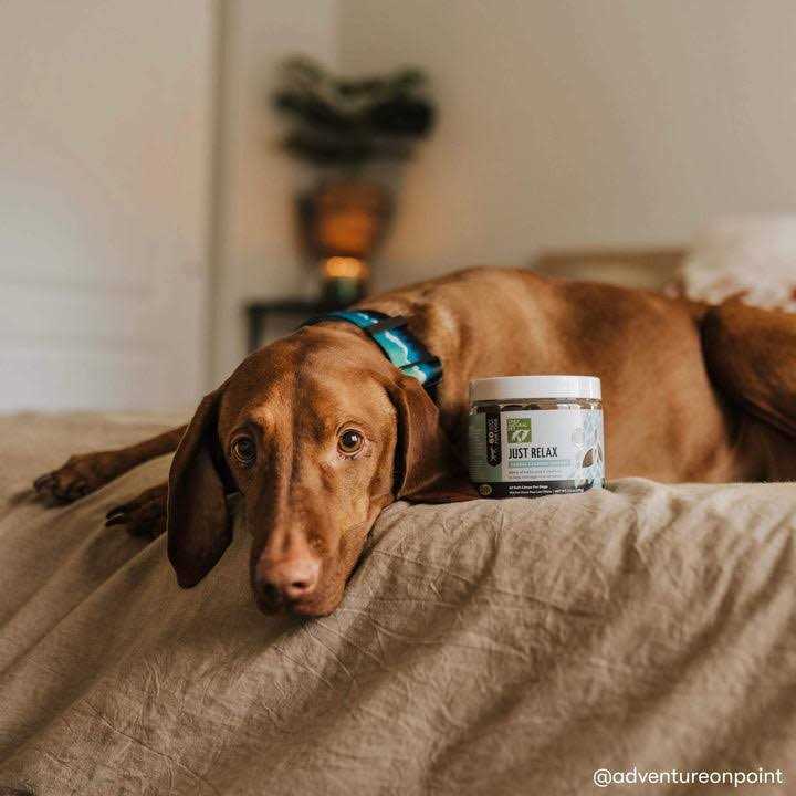 Herbal Calming Soft Chews K40505