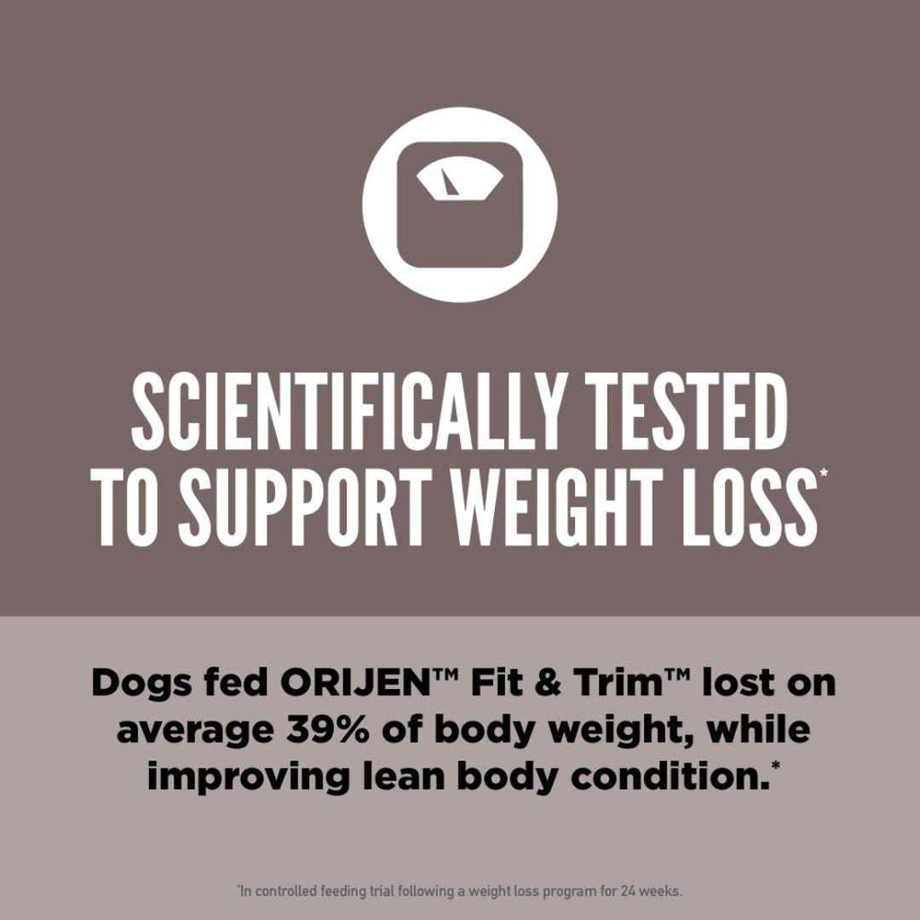 Dry Dog Food Q2196