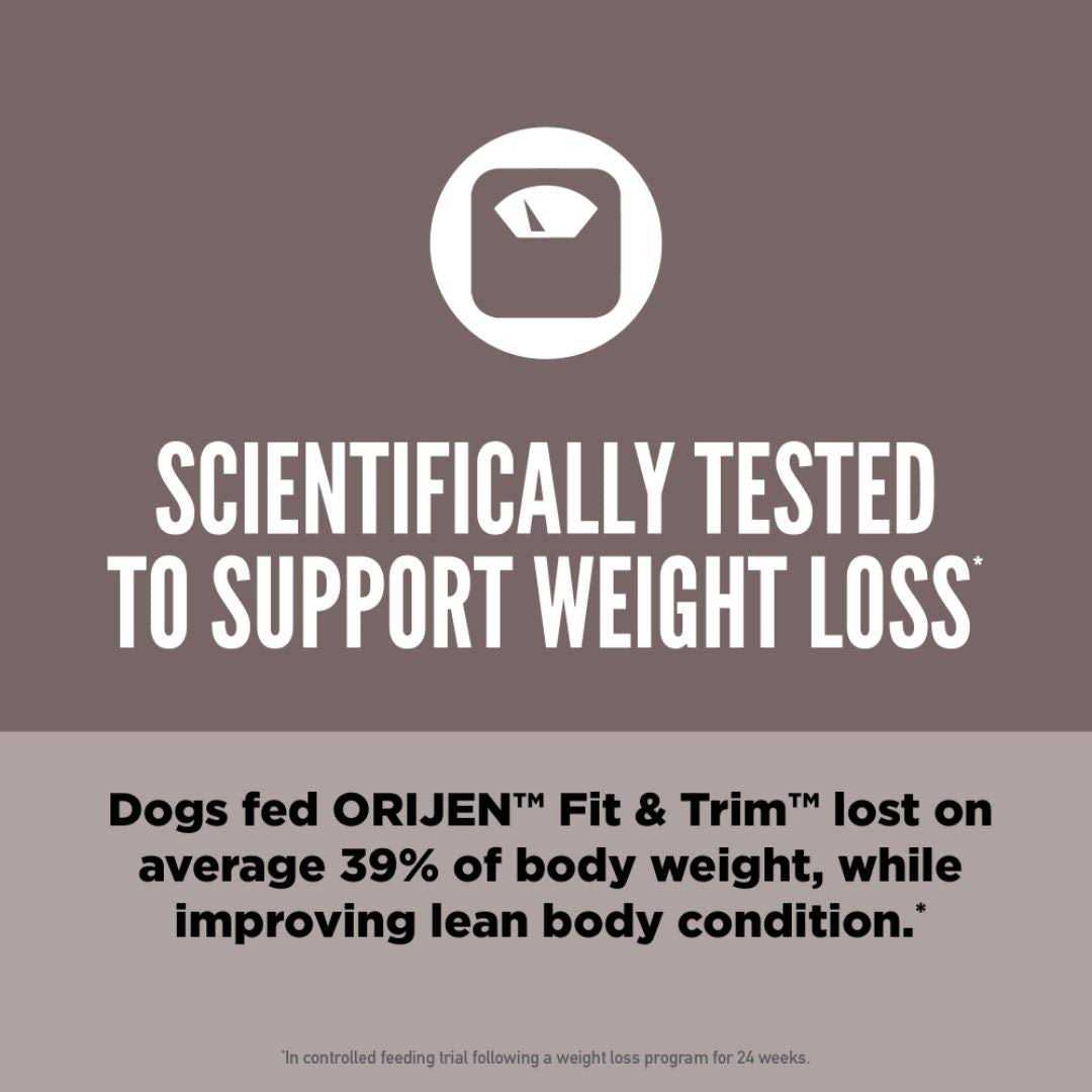 Dry Dog Food Q2196