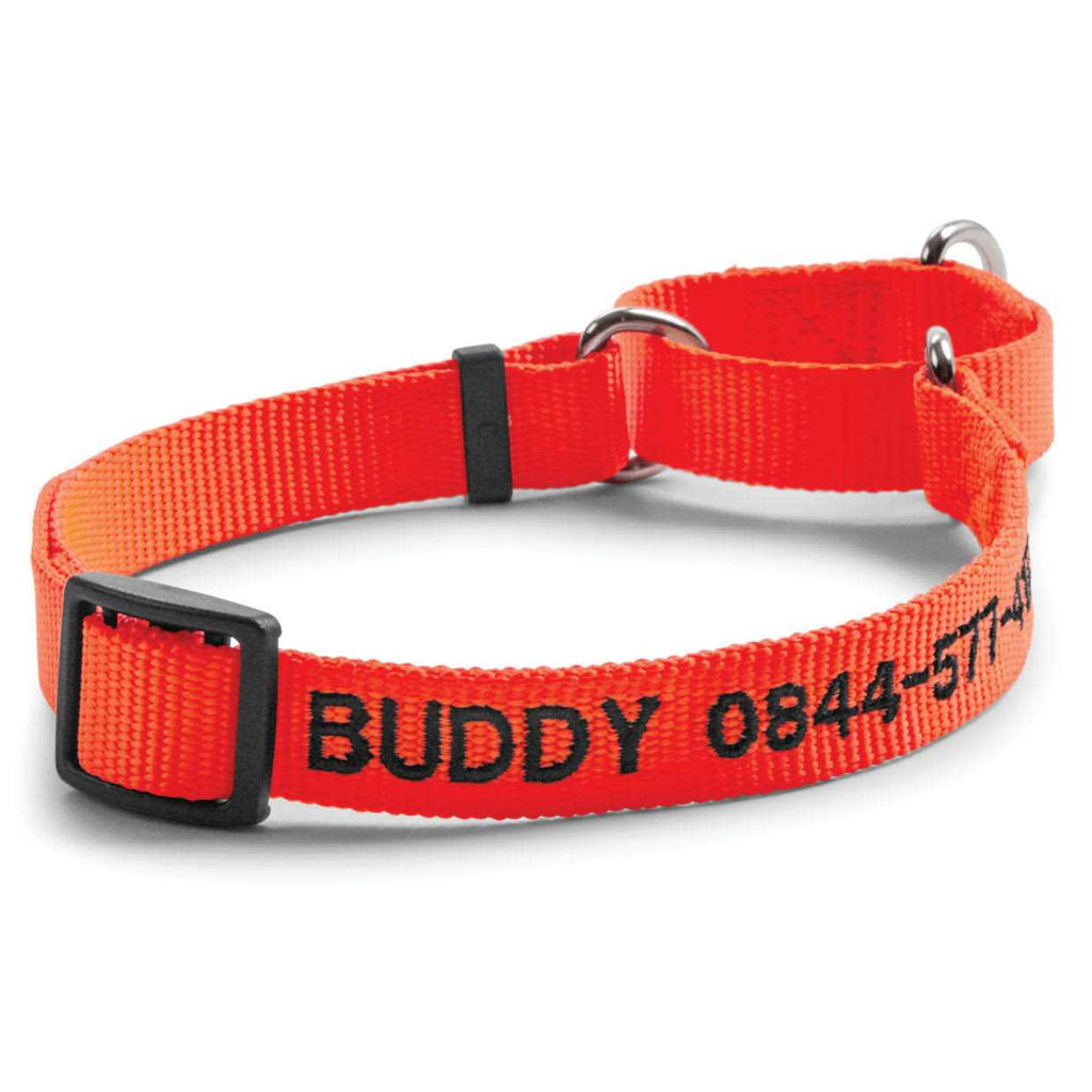 Dog’S Martingale Collar U5933