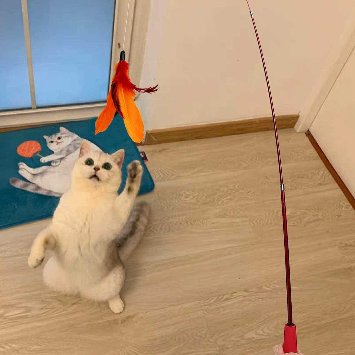 Interactive Cat Toy 2PCS Retractable Wand Toy and 9PCS Feather Toys Refills D221