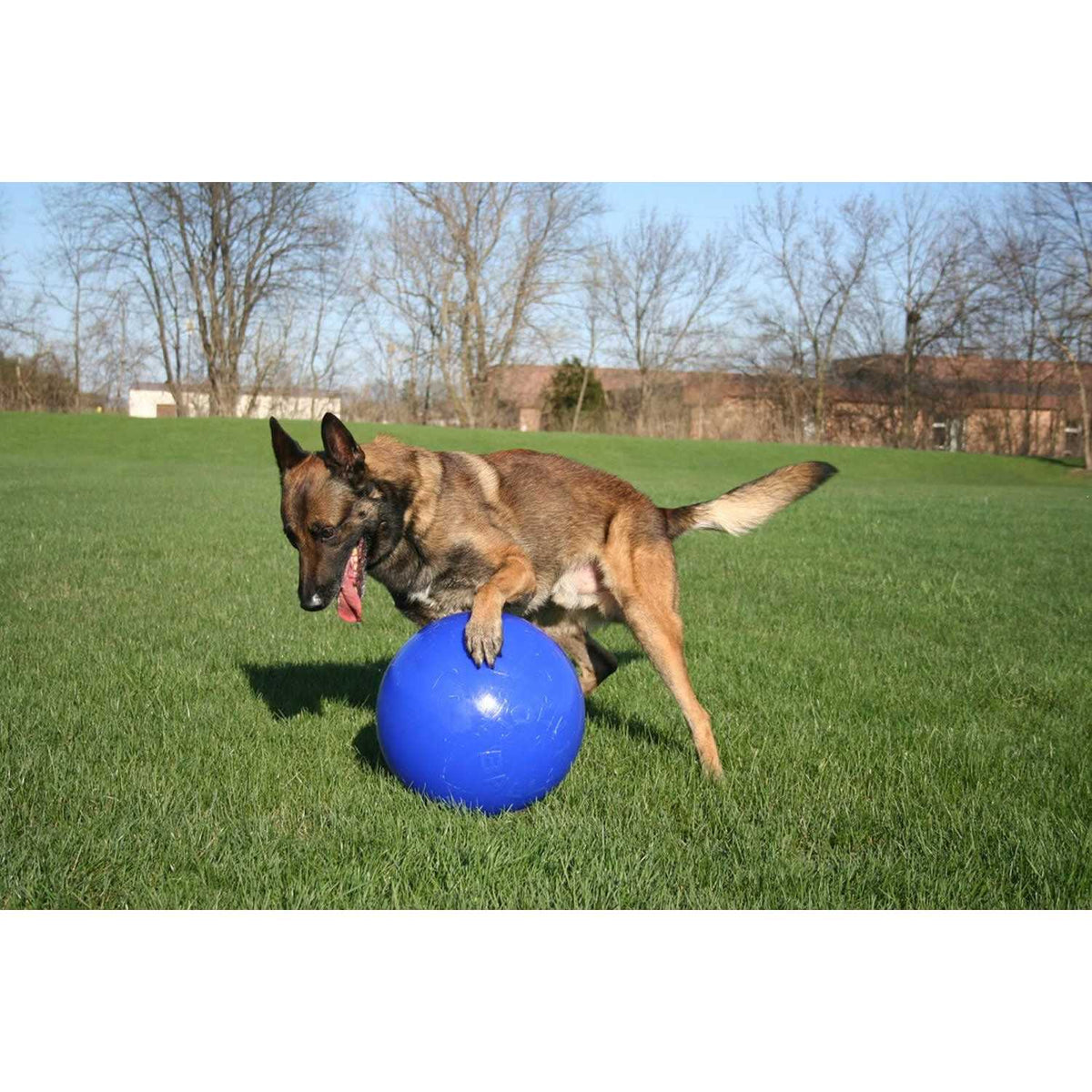 Push n Play Ball Z8828