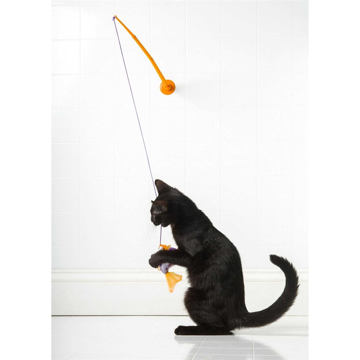 Cat Toy A748231