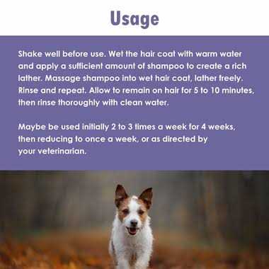 Antiseptic Dog Shampoo B57546