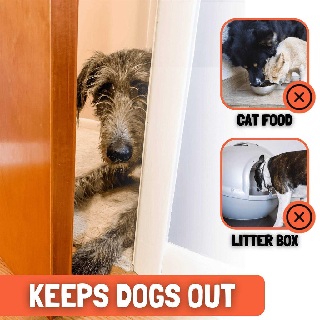 Cat Door Latch Holder A201