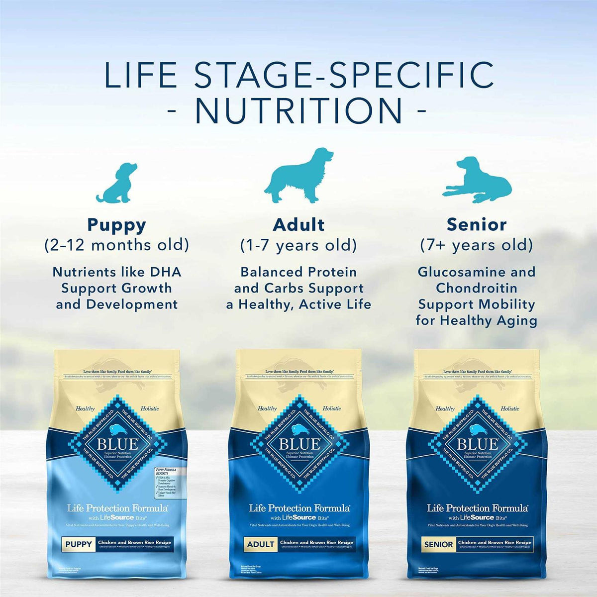 Chicken & Brown Rice Dry Puppy Dog Food W10384