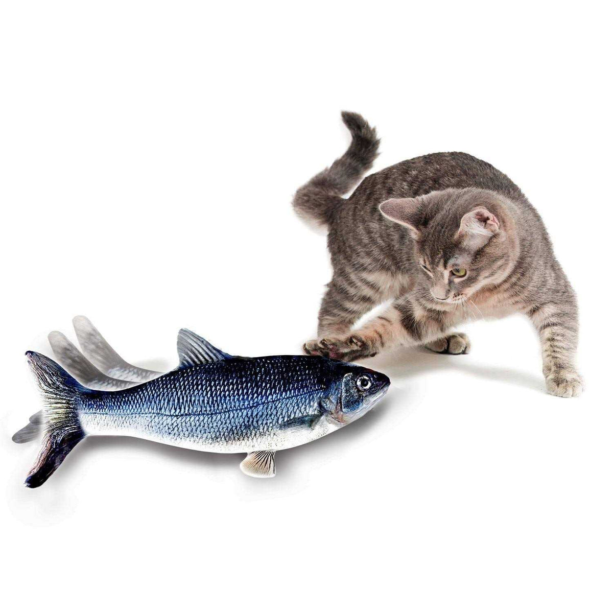 Cat Toy N4870