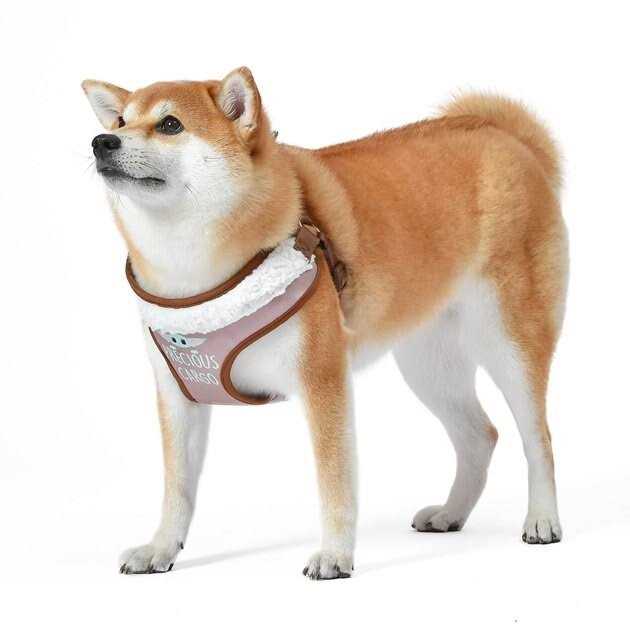 Dog Harness N685408