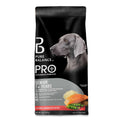Senior Salmon & Brown Rice Dry Dog Food W260704